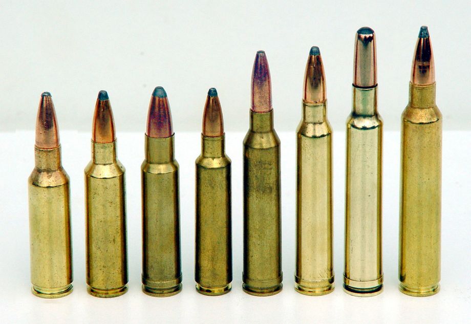 Comparaison entre différents calibres ; de la gauche vers la droite : 300 RSAUM ; 300 WSM ; 350 Rem Mag ; 284 Win ; 7 mm Rem Mag ; 300 Win Mag ; 300 Weat Mag ; 300 Rem Ultra Mag.