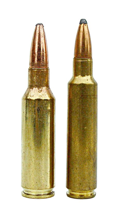 Comparaison entre le 300 RSAUM ( à gauche ) et le 284 Winchester.