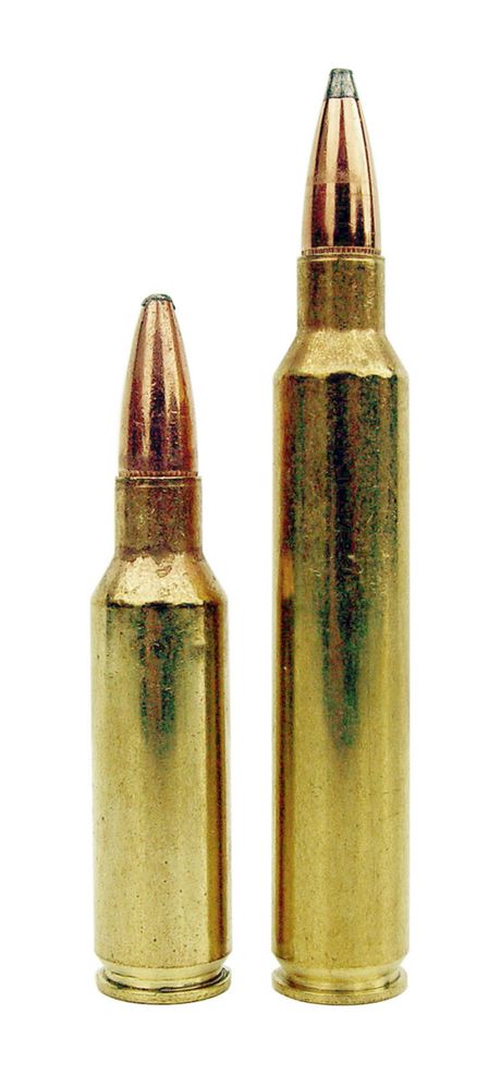 Comparaison entre le 300 RSAUM (à gauche ) et le 300 Remington Ultra magnum.