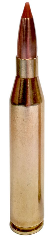 Cartouche de calibre 6,5x68 mm SHÛLER montée avec une balle NOSLER BALLISTIC TIP